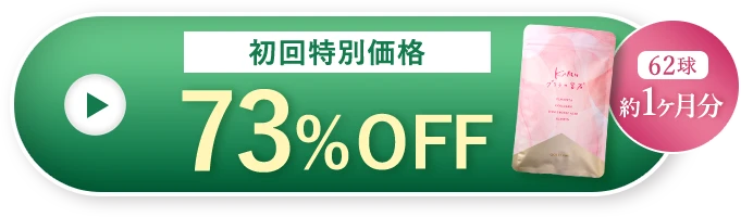 初回特別価格 73%OFF