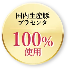 国内生産豚100%